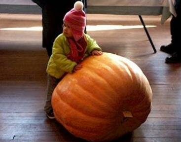 child with pumpkin